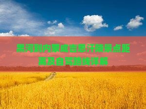 黑河到内蒙成吉思汗陵景点距离及自驾路线详解