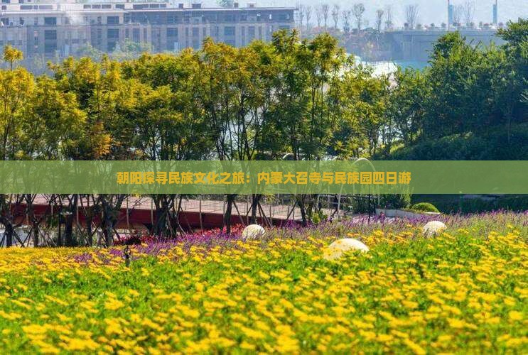 朝阳探寻民族文化之旅：内蒙大召寺与民族园四日游