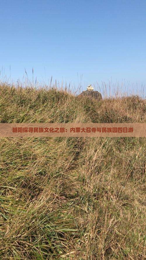 朝阳探寻民族文化之旅：内蒙大召寺与民族园四日游