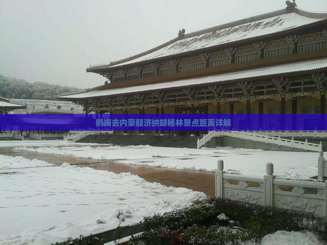 鹤岗去内蒙额济纳胡杨林景点距离详解