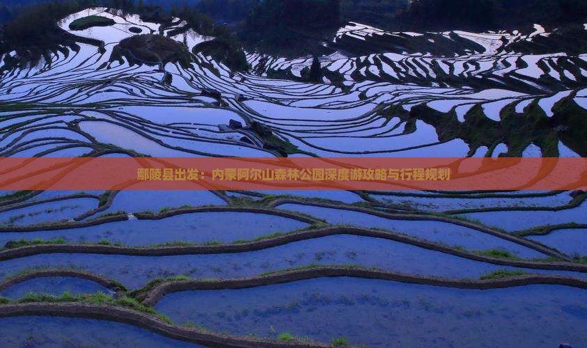 鄢陵县出发：内蒙阿尔山森林公园深度游攻略与行程规划