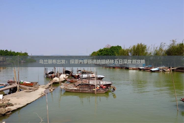 乌兰察布出发：探索内蒙额济纳胡杨林五日深度游攻略
