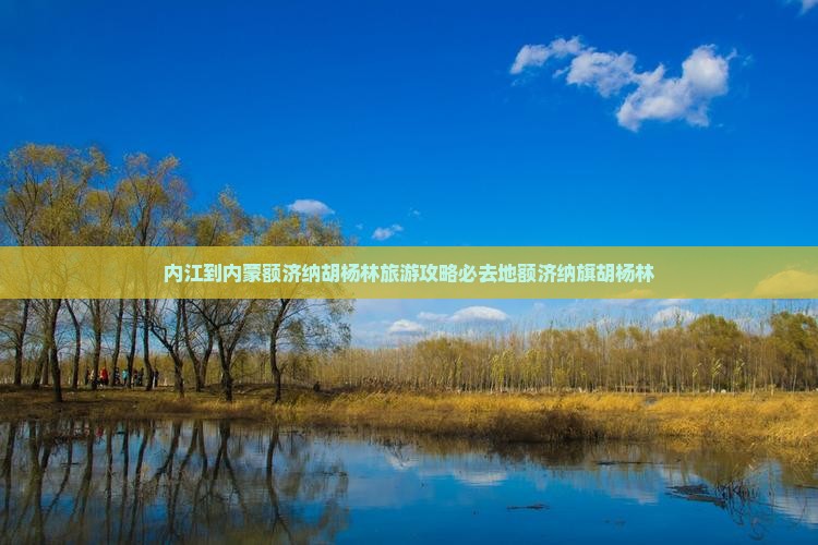 内江到内蒙额济纳胡杨林旅游攻略必去地额济纳旗胡杨林