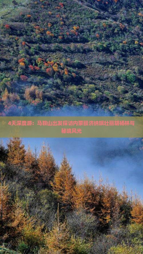 4天深度游：马鞍山出发探访内蒙额济纳旗壮丽胡杨林与秘境风光