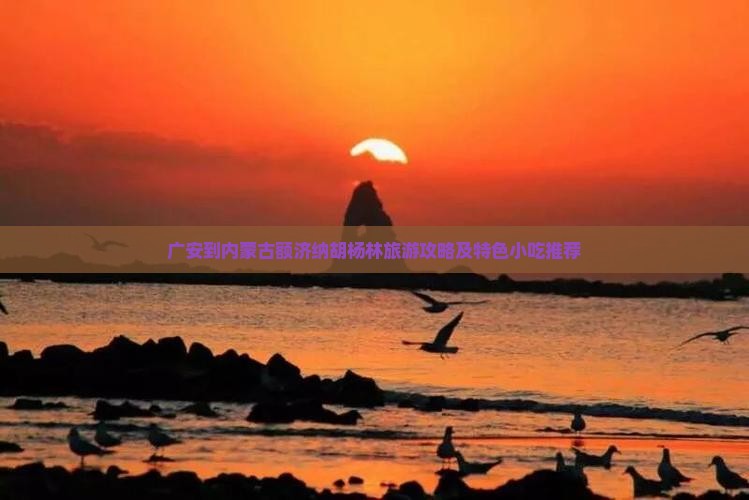 广安到内蒙古额济纳胡杨林旅游攻略及特色小吃推荐