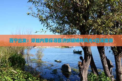 西宁出发：穿越内蒙探寻额济纳胡杨林风光4日深度游