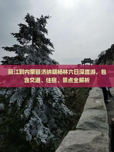丽江到内蒙额济纳胡杨林六日深度游，包含交通、住宿、景点全解析