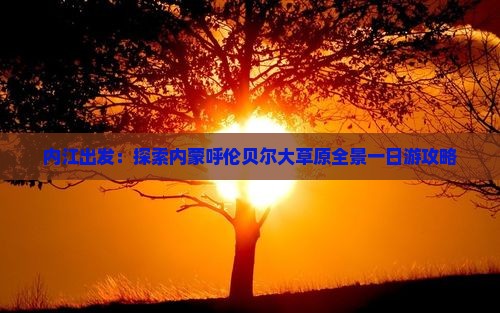 内江出发：探索内蒙呼伦贝尔大草原全景一日游攻略