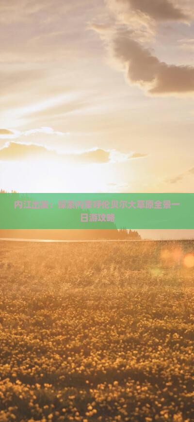 内江出发：探索内蒙呼伦贝尔大草原全景一日游攻略
