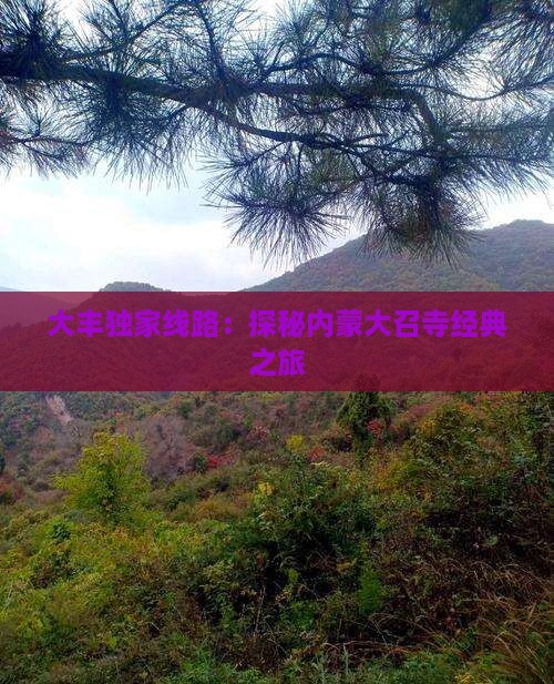 大丰独家线路：探秘内蒙大召寺经典之旅