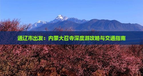 通辽市出发：内蒙大召寺深度游攻略与交通指南