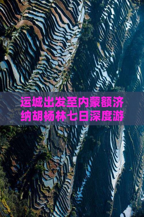 运城出发至内蒙额济纳胡杨林七日深度游
