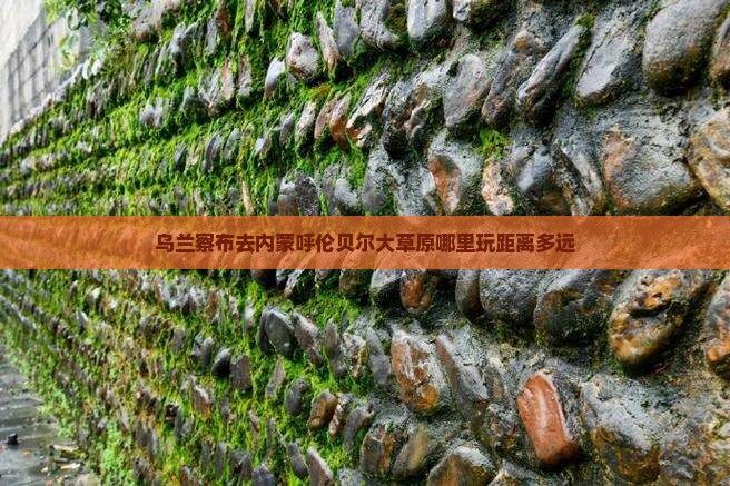 乌兰察布去内蒙呼伦贝尔大草原哪里玩距离多远