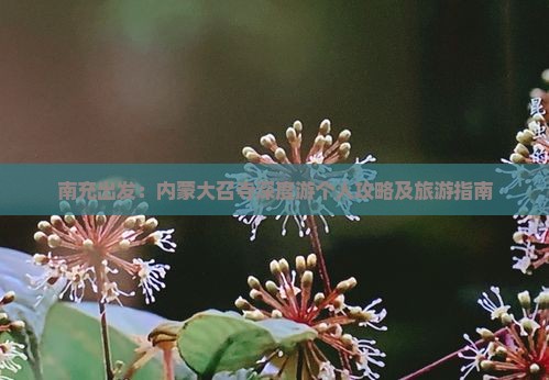 南充出发：内蒙大召寺深度游个人攻略及旅游指南