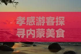 孝感游客探寻内蒙美食之旅：特色小选