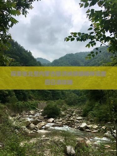 探索张北至内蒙古额济纳旗胡杨林深度四日游攻略