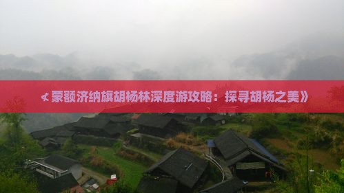 ≮蒙额济纳旗胡杨林深度游攻略：探寻胡杨之美》