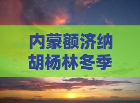 内蒙额济纳胡杨林冬季旅游攻略与实用指南