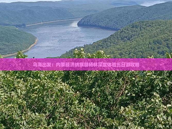 乌海出发：内蒙额济纳旗胡杨林深度体验三日游攻略