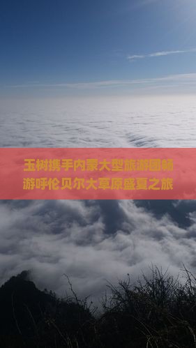 玉树携手内蒙大型旅游团畅游呼伦贝尔大草原盛夏之旅