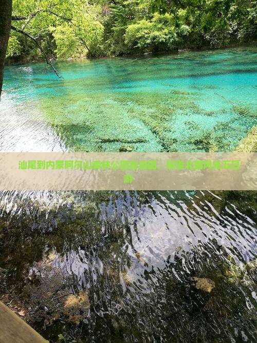 汕尾到内蒙阿尔山森林公园自由团，探索北国风光五日游