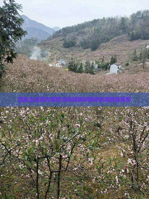 韶关出发至内蒙额济纳胡杨林团体旅游路线推荐