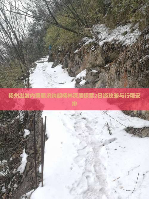 扬州出发内蒙额济纳胡杨林深度探索2日游攻略与行程安排