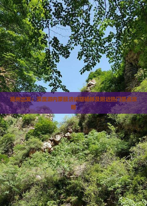 扬州出发：深度游内蒙额济纳胡杨林及附近热门景点攻略