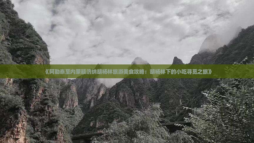 《阿勒泰至内蒙额济纳胡杨林旅游美食攻略：胡杨林下的小吃寻觅之旅》