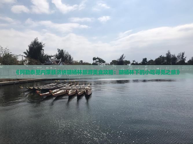 《阿勒泰至内蒙额济纳胡杨林旅游美食攻略：胡杨林下的小吃寻觅之旅》