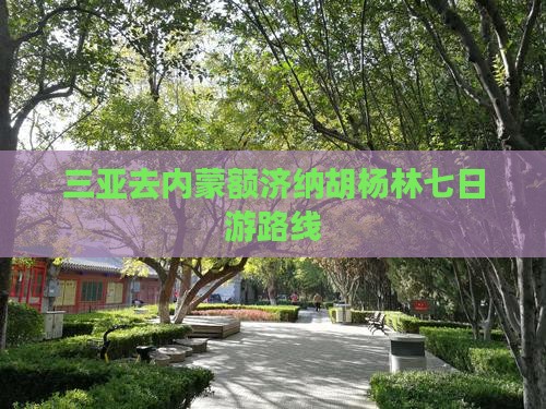 三亚去内蒙额济纳胡杨林七日游路线