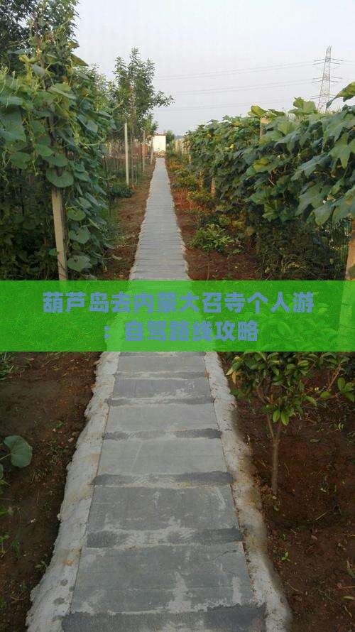 葫芦岛去内蒙大召寺个人游：自驾路线攻略