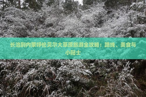 长治到内蒙呼伦贝尔大草原旅游全攻略：路线、美食与小贴士
