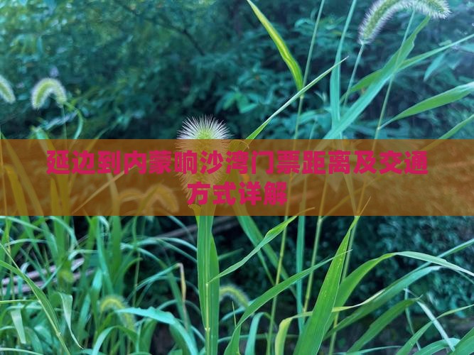 延边到内蒙响沙湾门票距离及交通方式详解