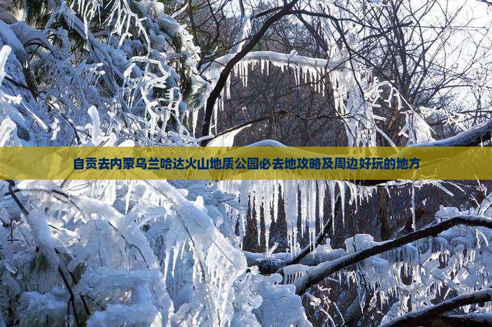 自贡去内蒙乌兰哈达火山地质公园必去地攻略及周边好玩的地方