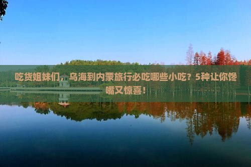 乌海到内蒙旅游小吃