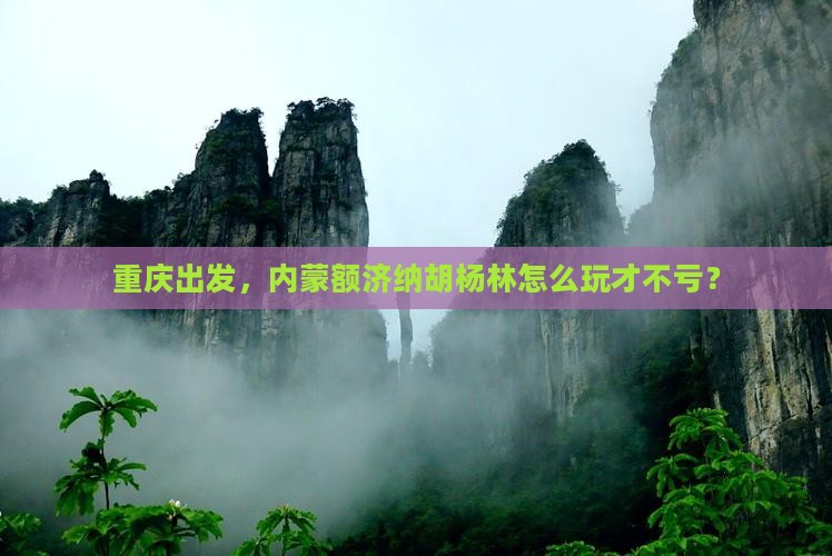重庆到内蒙额济纳胡杨林哪里玩