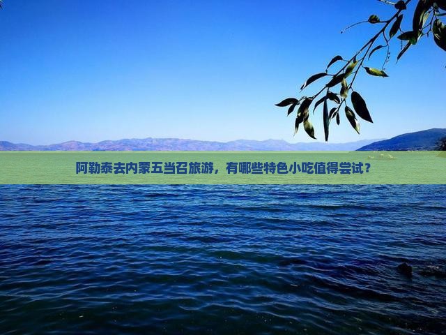 阿勒泰去内蒙五当召旅游小吃