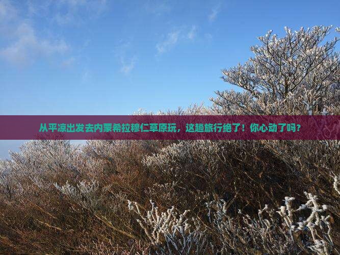 平凉到内蒙希拉穆仁草原旅游