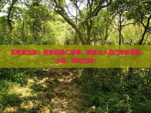 五家渠去内蒙希拉穆仁草原旅游小吃