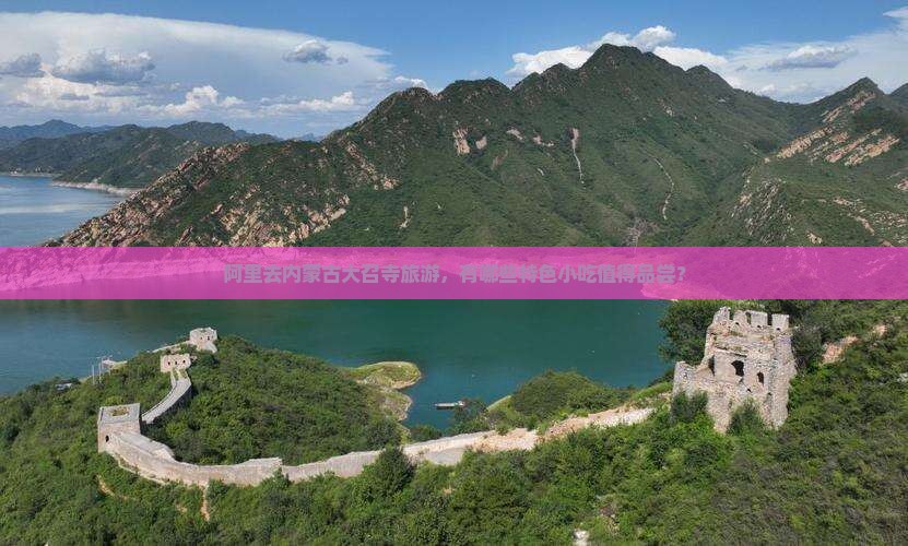 阿里去内蒙大召寺旅游小吃