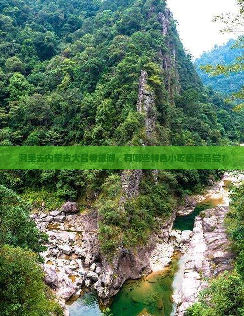 阿里去内蒙大召寺旅游小吃