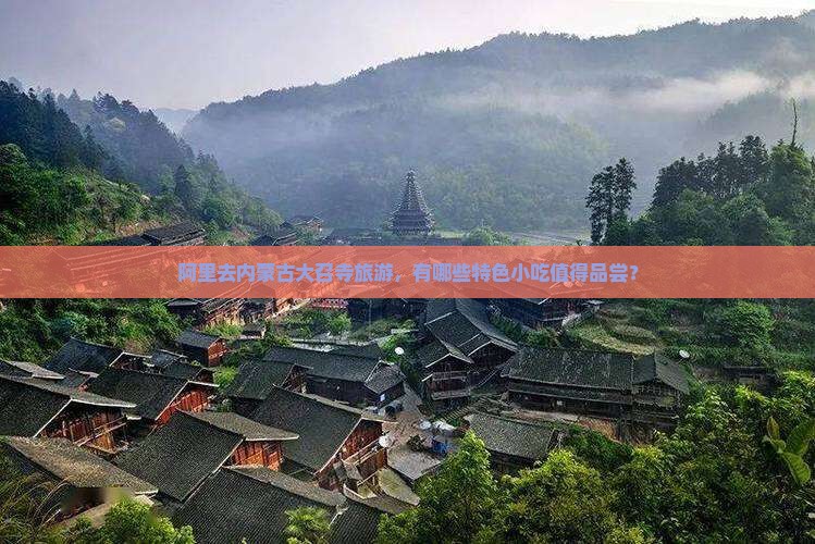 阿里去内蒙大召寺旅游小吃