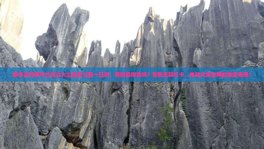新乡去内蒙乌兰哈达火山地质公园一日游