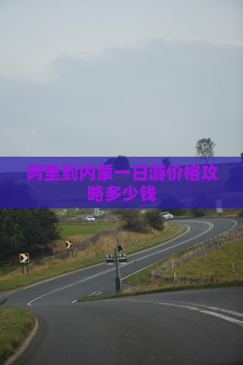 阿里到内蒙一日游