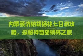 夏天去内蒙额济纳胡杨林七日游