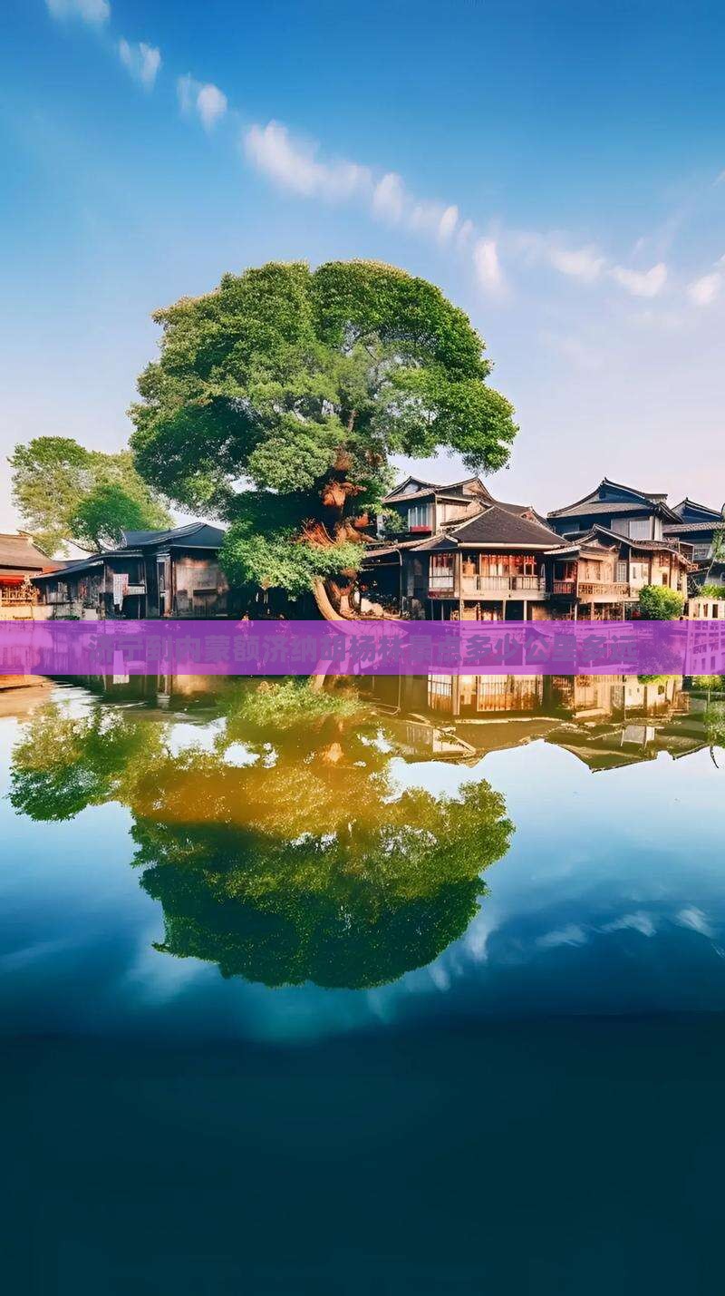 济宁到内蒙额济纳胡杨林景点