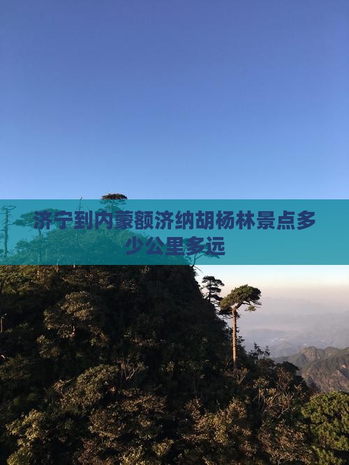 济宁到内蒙额济纳胡杨林景点