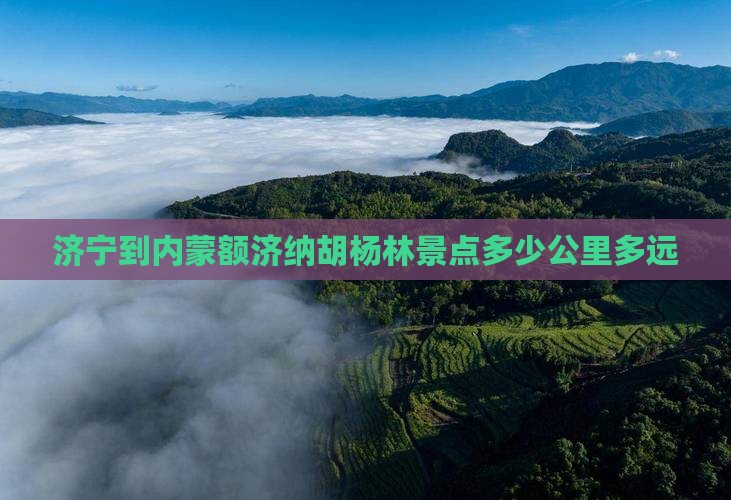 济宁到内蒙额济纳胡杨林景点