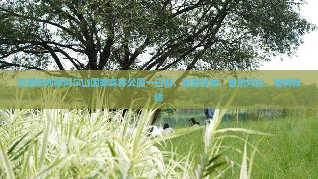 济源去内蒙阿尔山国家森林公园一日游